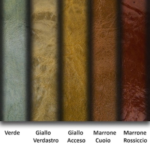 Glossy super VINTAGE leather skin, wrinkled goatskin with shades, soft distressed PATENT line hide B16540-VT La Garzarara