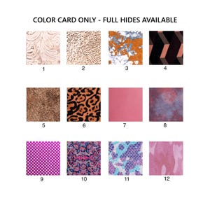 May include: A colour card displaying twelve square swatches of leather with various patterns and textures, labelled 1 through 12. The text at the top reads COLOR CARD ONLY - FULL HIDES AVAILABLE. Patterns include paisley, animal print, geometric, and solid pink.