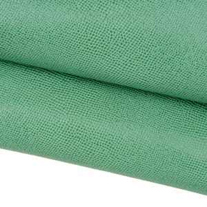 Pelle verde salvia stampa RETTILE, capra lucida morbida LUCERTOLA, pellame 0.7 - 0.9 mm per hobbisti B17642-ST La Garzarara
