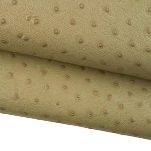 OSTRICH embossed leather hide, greyish beige ANIMAL printed cowhide, semi glossy semi stiff calfskin for crafters B19101-ST La Garzarara