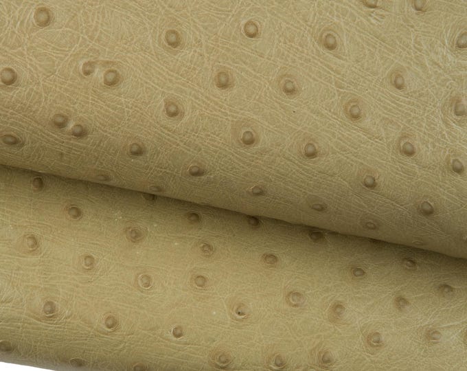 OSTRICH embossed leather hide, greyish beige ANIMAL printed cowhide, semi glossy semi stiff calfskin for crafters B19101-ST La Garzarara