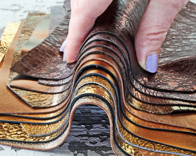 Soft Bronze Brown Leather Scraps - Assorted Grain and Thickness - Random offcuts leather - 0.7 lbs / 300 gr B1511