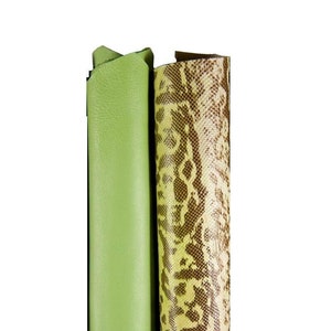 Set di 2 pelli VERDI abbinate, pelli italiane qualità top tono verde, nappa morbida e vitello stampato PITONE per il fai da te B16971-ST