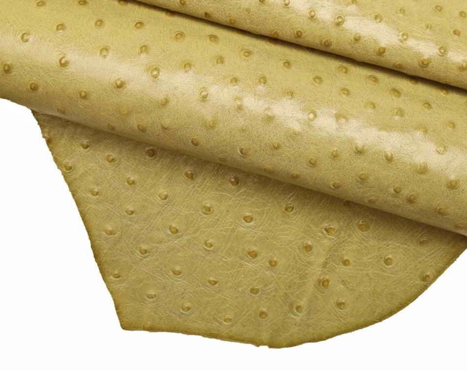 GREEN OSTRICH embossed cowhide, classic printed cowhide for crafting, stiff calfskin B12301-ST La Garzarara