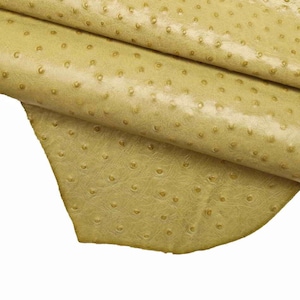 PELLE STRUZZO verde, vitello stampato -pellame rigido - cuoio stampato colori panna, azzurro, beige-verde  B12301-ST La Garzarara