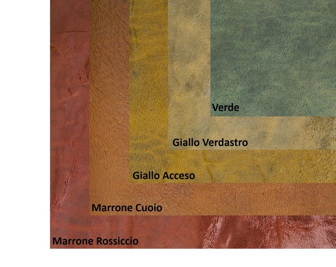 Vintage glossy goat leather skin with pull up effect, soft patinated hide with light dark tone variation B16540-VT La Garzarara