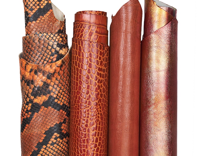 Bundle of 4 matching skins, ORANGE tone, metallic and printed crocodille lizard and python per hobbyists B18350-ST   La Garzarara