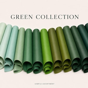 Op de afbeelding: Een collectie opgerolde vellen papier gerangschikt in een gebogen rij, met een verloop van groene tinten van licht muntgroen tot diep bosgroen. De tekst "GREEN COLLECTION" staat bovenaan en "SAMPLE ASSORTMENT" staat onderaan.
