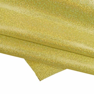 Pelle iridescente effetto glitter, camoscio laminato effetto brillantino, pellame cangiante di capra morbido B15411-MT(st) La Garzarara