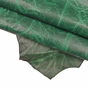Può includere: Primo piano di un pezzo di pelle verde con una superficie testurizzata.