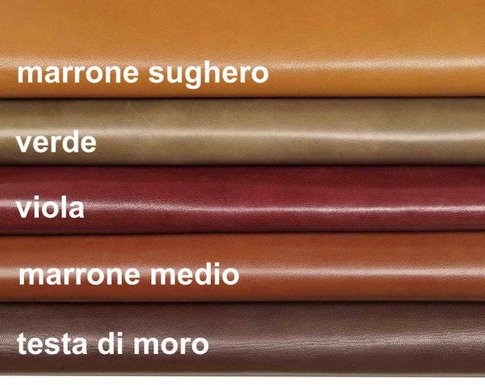 Pebble soft grain leather skins - Brown purple green GOATSKIN - shiny soft italian goat hides B13764-TU La Garzarara