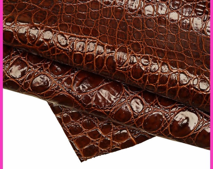 Brown CROCODILE embossed leather hide, classic glossy cowhide, animal print stiff calfskin B15451-ST La Garzarara