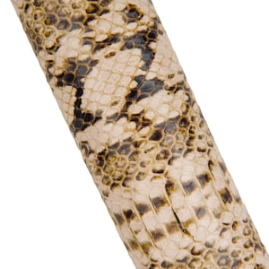 Può includere: Primo piano di una sezione di pelle di serpente. La pelle presenta un motivo di squame beige, marroni e nere. Le squame sono piccole e fittamente ravvicinate, creando una superficie strutturata. La pelle di serpente è angolata diagonalmente nel fotogramma.