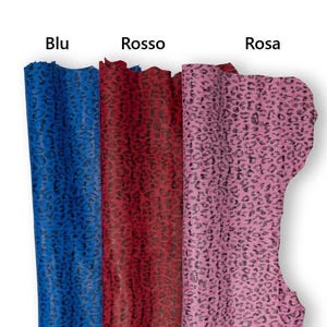 May include: Three swatches of fabric in blue, red, and pink, each with a leopard print pattern. The word "Blu" is above the blue swatch, "Rosso" above the red, and "Rosa" above the pink.