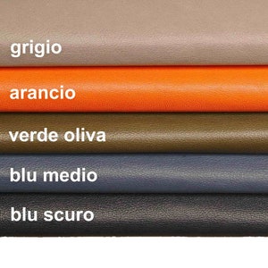 PELLAMI di capra lucido con grana naturale grigio arancio oliva blu tinta unita - pellame italiano morbido  B13664-TU/F La Garzarara