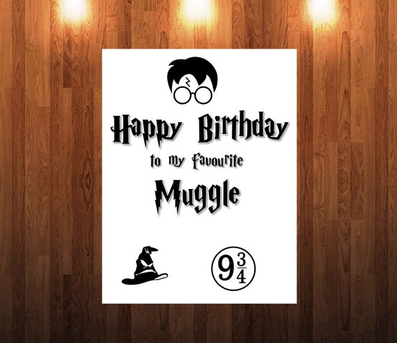 harry potter birthday