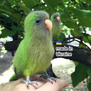 Parrocchetto monaco, uccello infeltrito, pappagallo quacchero, cacatua, ritratto di animale domestico, regalo per compleanno, uccello coda di gallo, regalo di Natale, giocattolo pappagallo decorativo