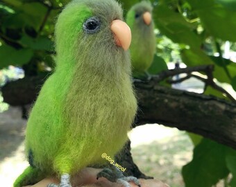 Monk parakeet, felted bird, Quaker parrot, cockatoo, pet portrait, gift for  birthday, cockstail bird, christmas present, decor parrot toy
