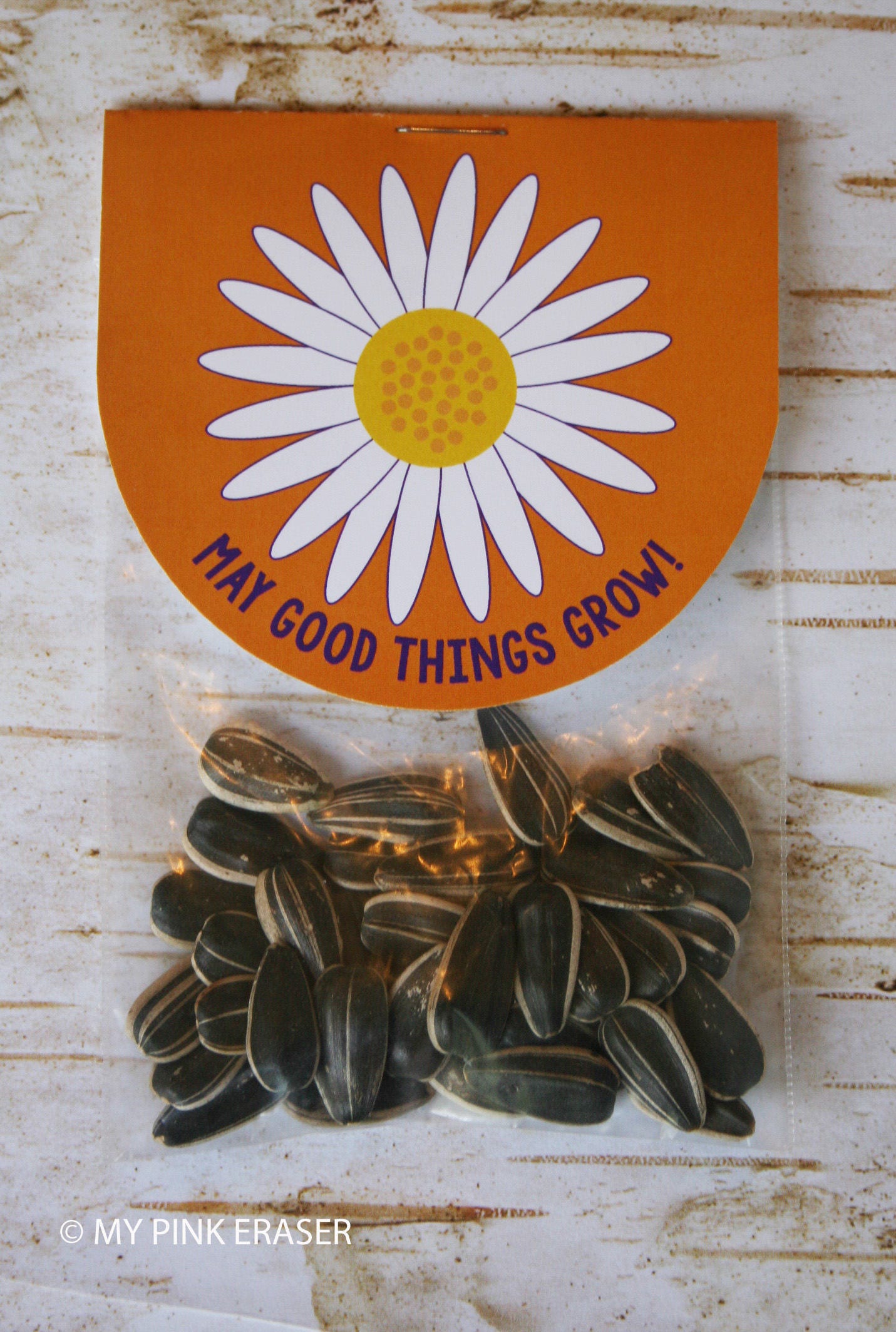 Seed packet party favor // Daisy party favor Etsy