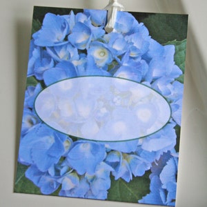 Hydrangea flower gift tag