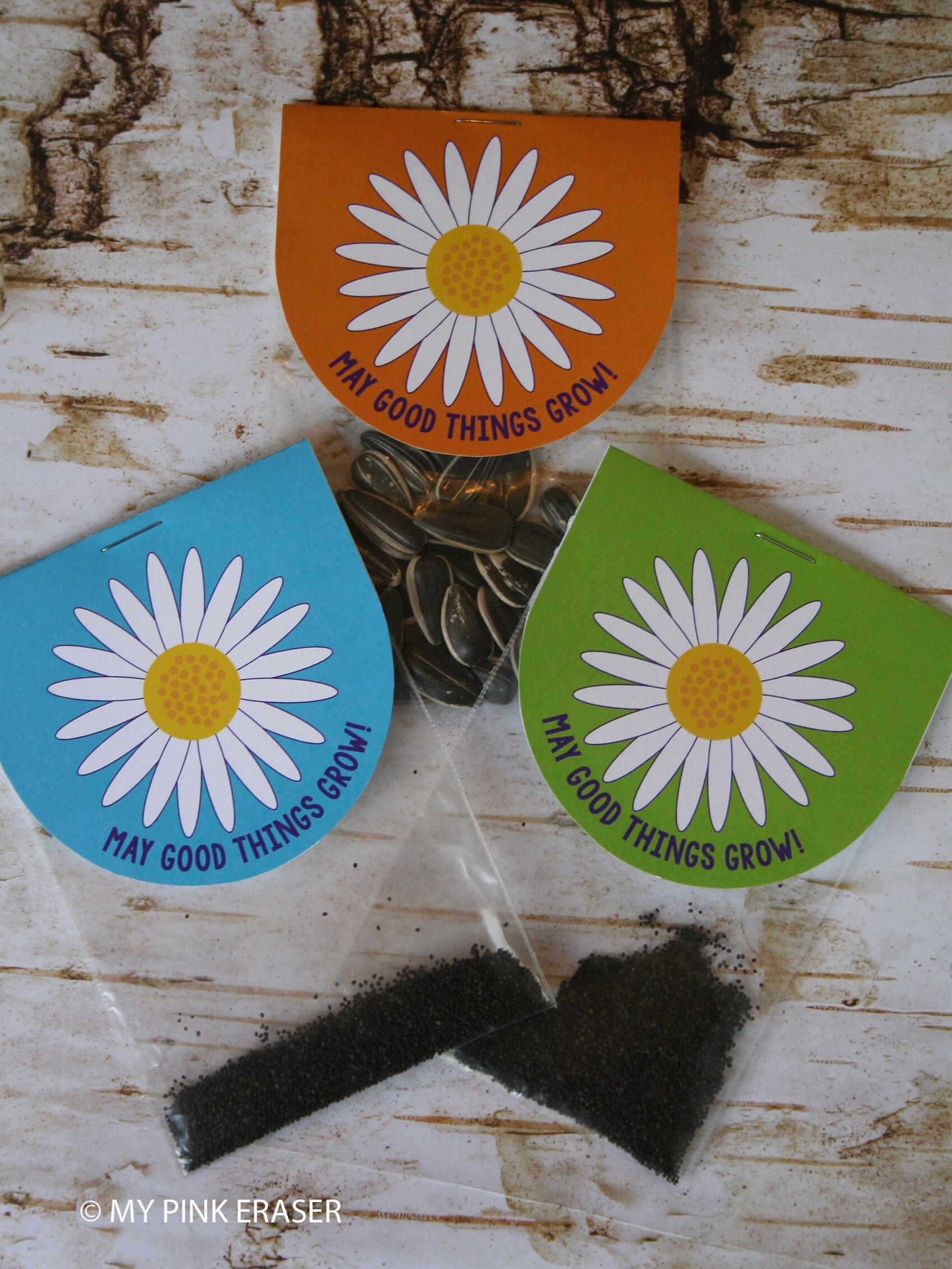 Seed packet party favor // Daisy party favor Etsy