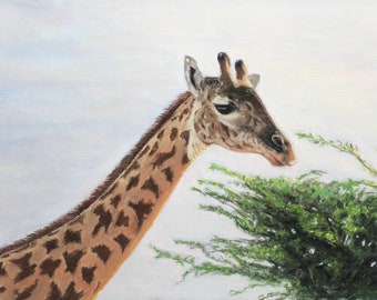 Giraffe