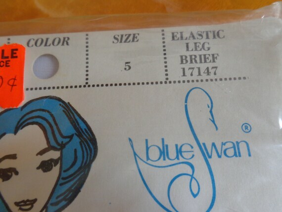 Vintage Blue Swan Brief, NOS, Vintage Undergarmen… - image 4