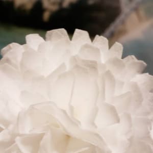 Edible Flowers, 3D Realistic Edible Wafer paper carnation