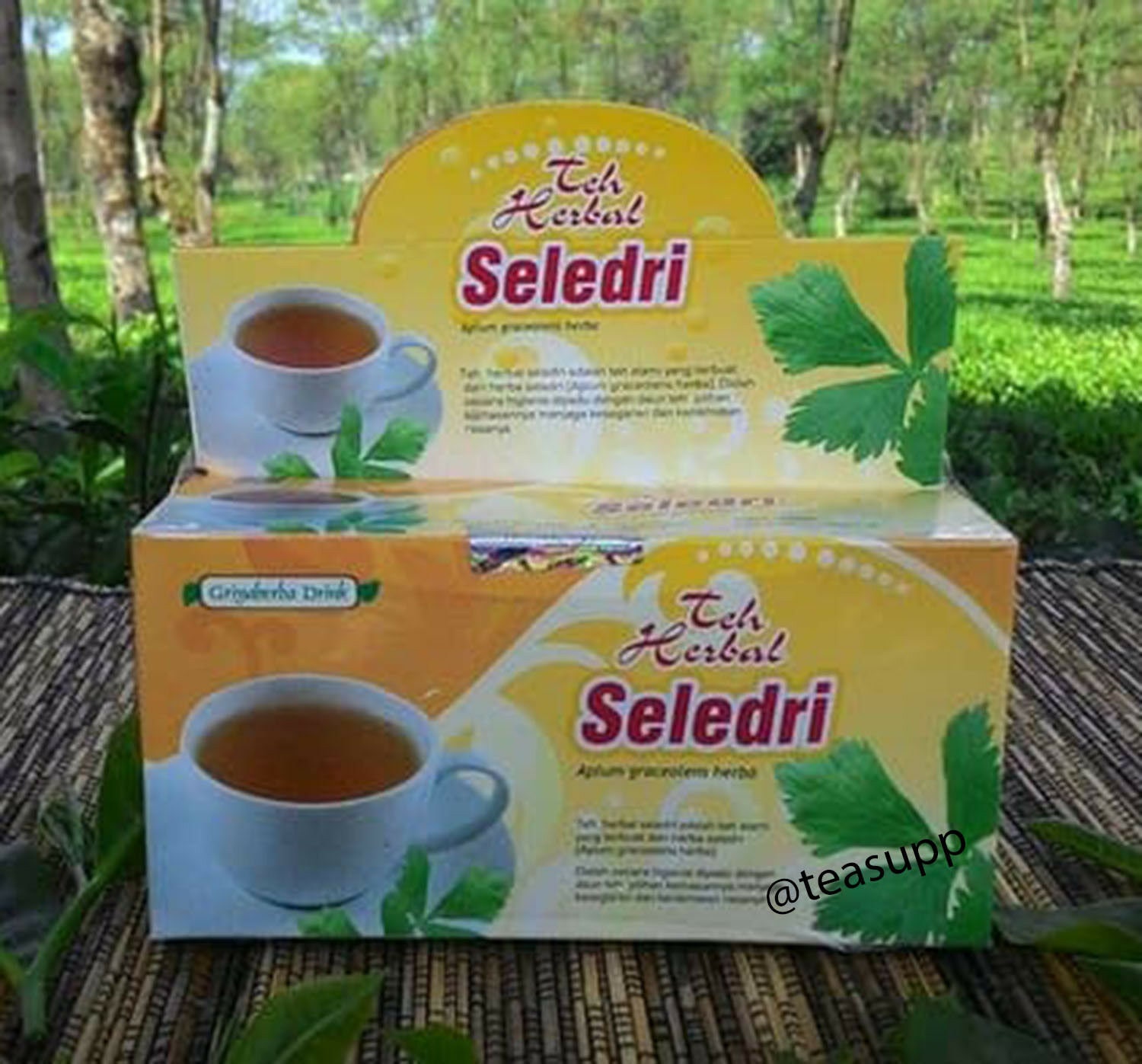 2 X 20 Teabags Celery Tea Pure Apium Graveolens Herbal Halal Etsy