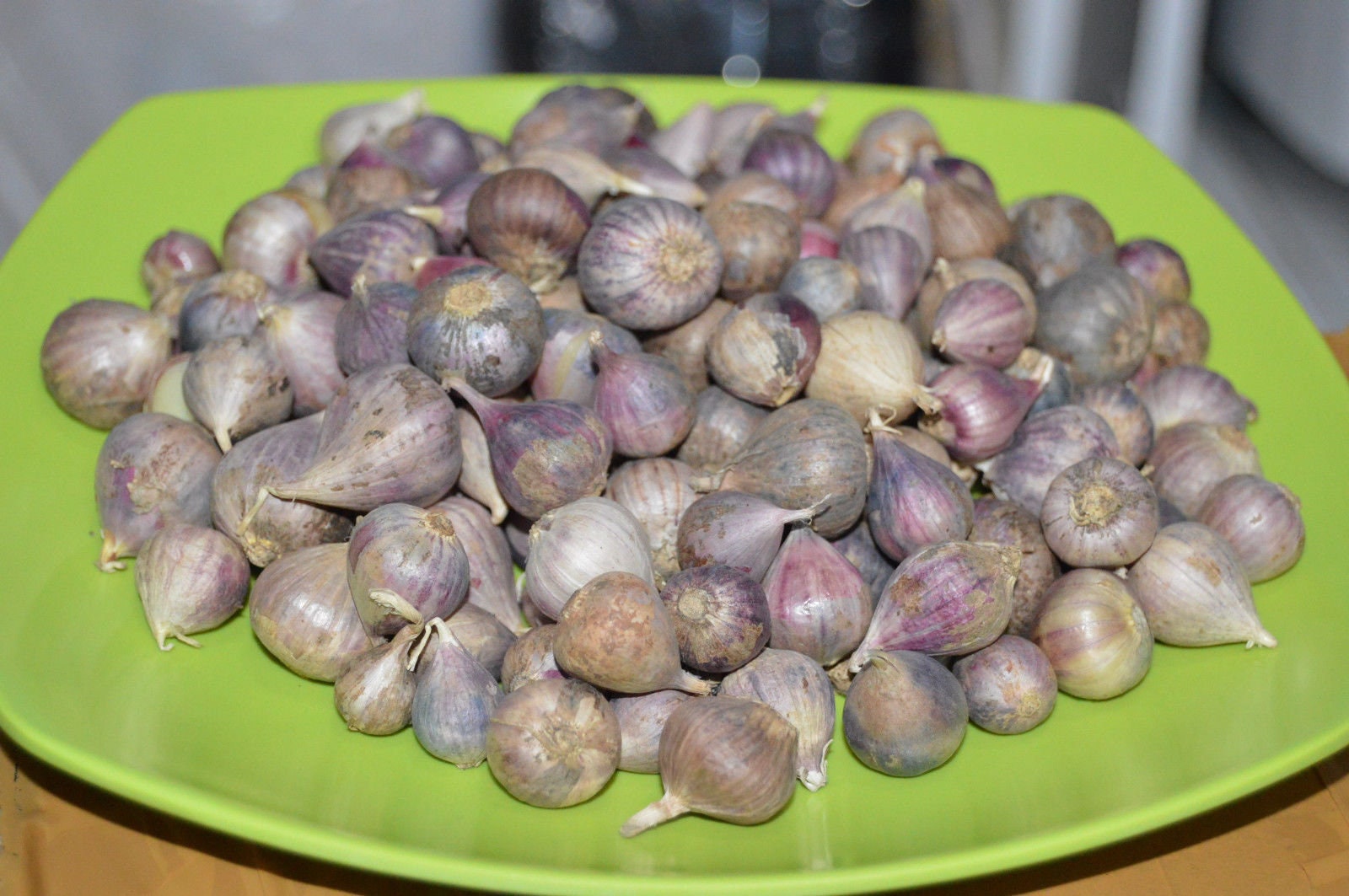 Single Clove Garlic Solo Garlic Heirloom and Herbs from Thailand 