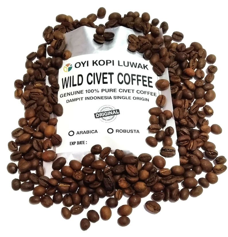70grams Authentic Arabica Wild Civet Coffee Roasted Beans Pure Indonesia Kopi Luwak image 1