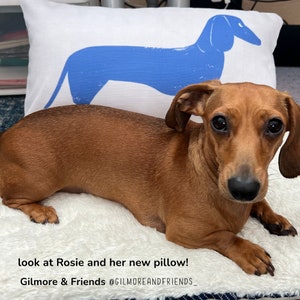 Doxie on a Pillow Long Hair Dachshund Pillow Doxie Decor Wire Doxie Pillow Dog Pillow Doxie Mom Decor Doxie Pillow Case image 2