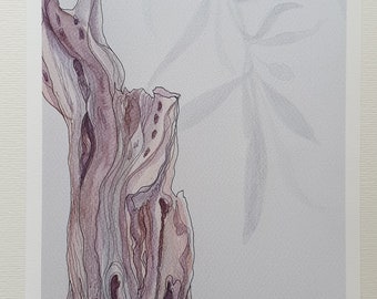 Olive Tree - Corfu, Mediterranean, Limited Edition Print (Giclée)