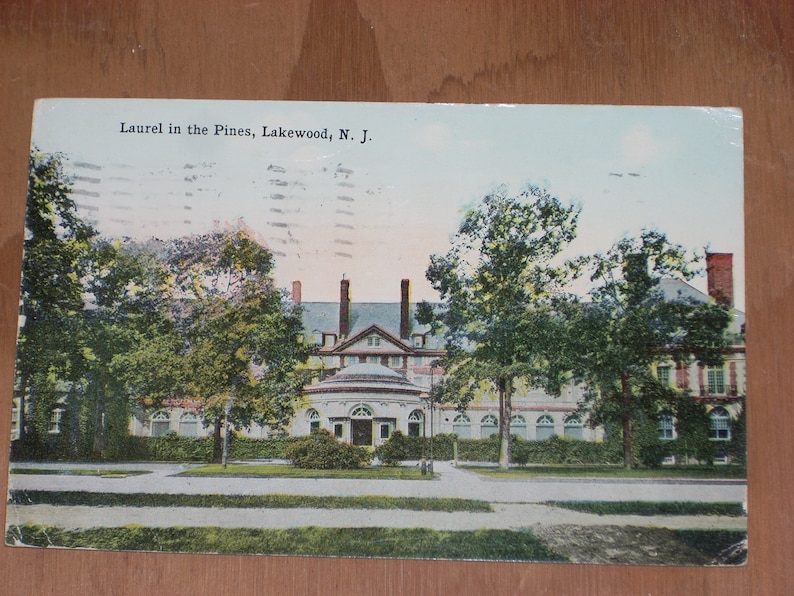 Published by The Post Card Distributing Co. Lakewood N.J 6006 Vintage 1916 Post Card Laurel in the Pines No