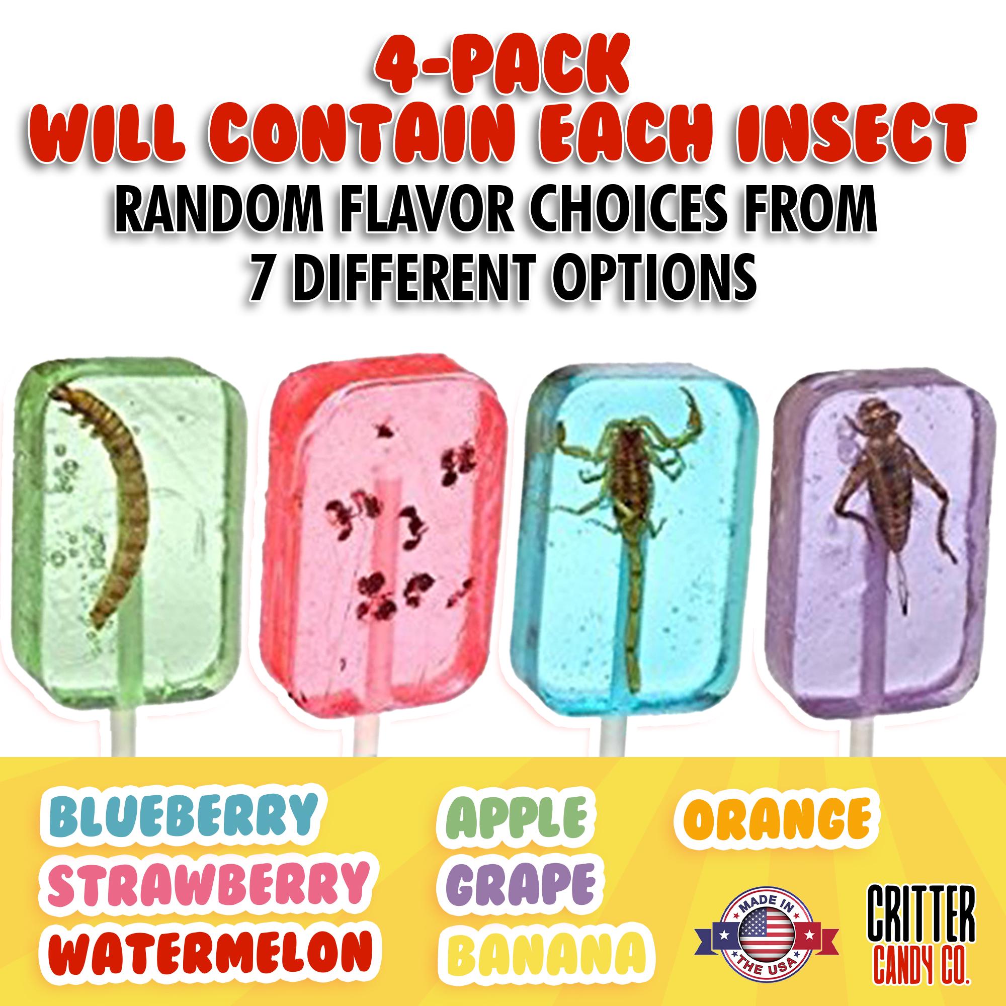 Hotlix Insect Lollipops, Edible Bugs, Edible Insects for Humans, Bug ...