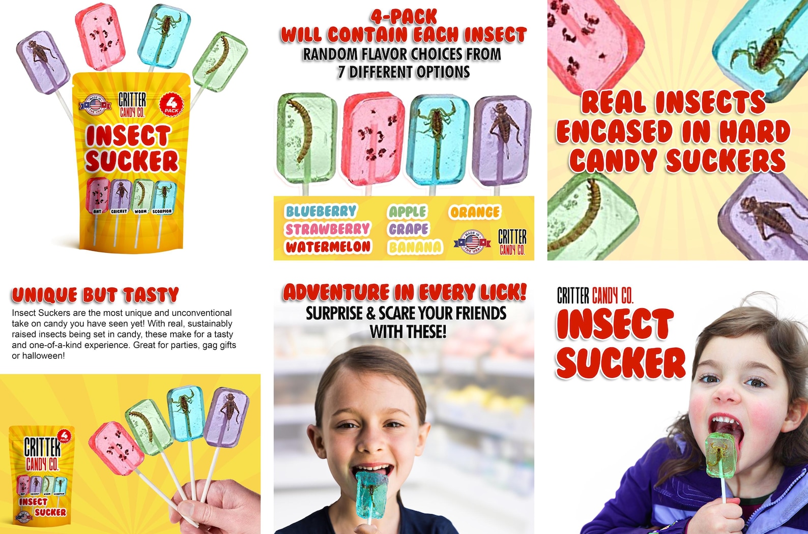 Hotlix Insect Lollipops, Edible Bugs, Edible Insects for Humans, Bug ...