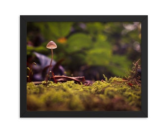 A Touch of Magic - Mullinhassig Woods - Cork Ireland - Framed Wall Print