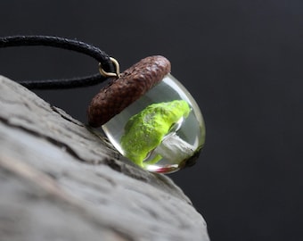 Mushroom Painted Acorn Necklace: Real Moss Terrarium Pendant