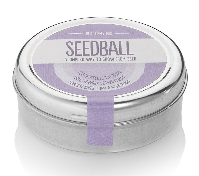 Gardeners Gift Seedball Tins Beetles Wildflower Seeds