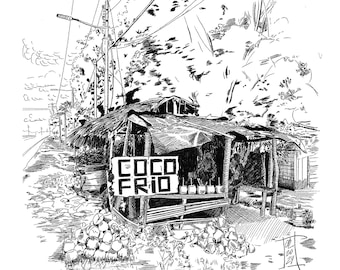 Coconut Vendor Ink Drawing Print, Tucacas Venezuela