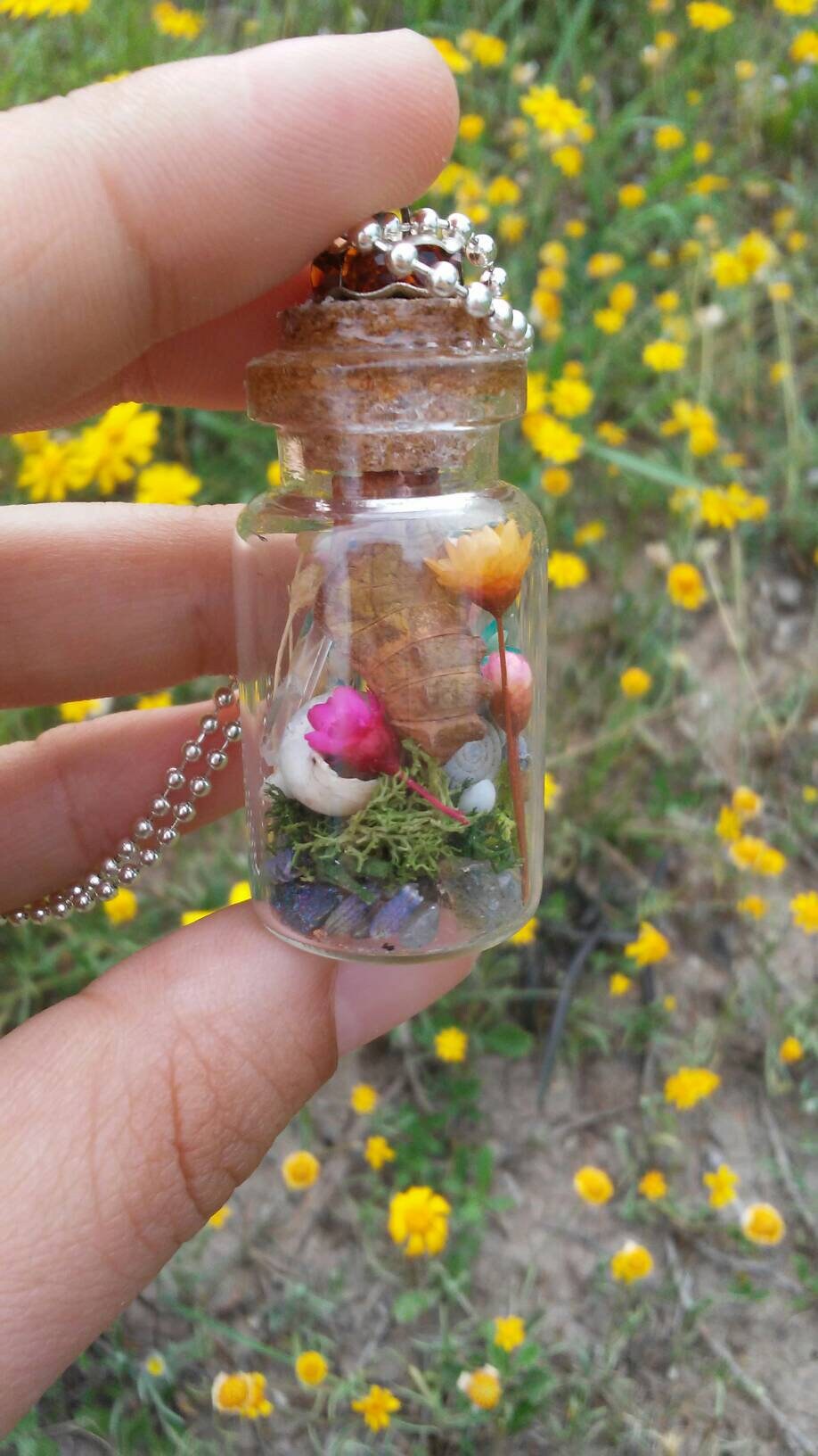 Real butterfly chrysalis necklace pendant delicate dried Etsy