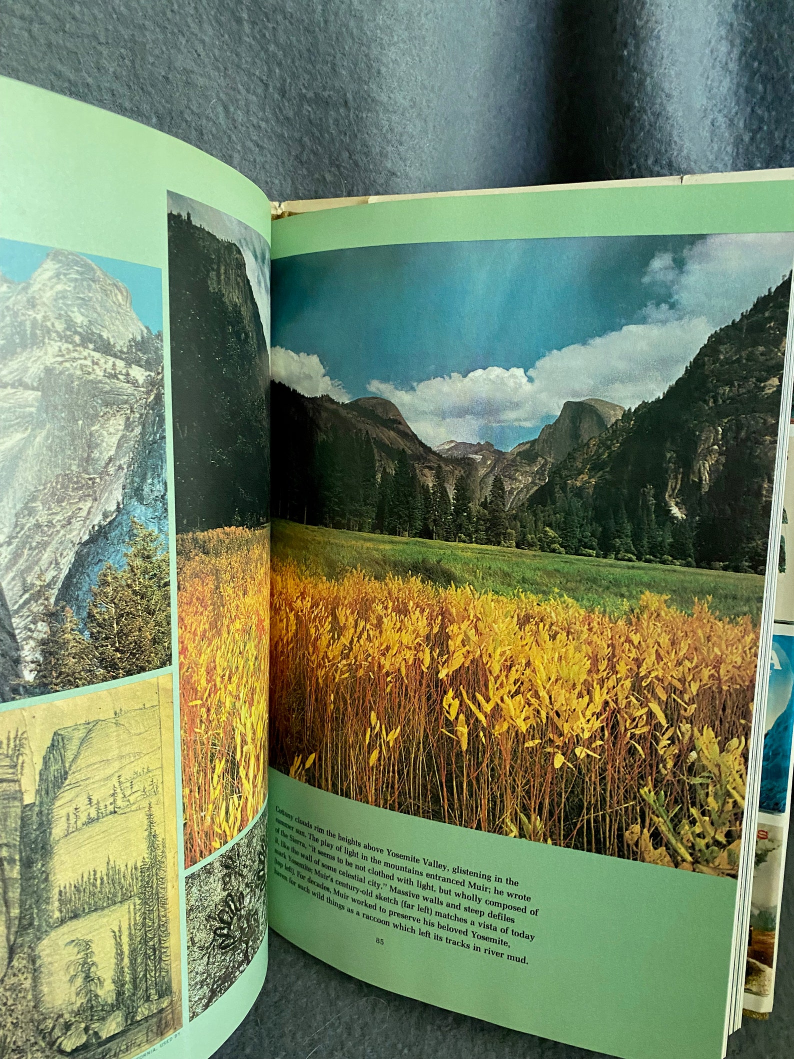 John Muirs Wild America National Geographic 1976 Etsy