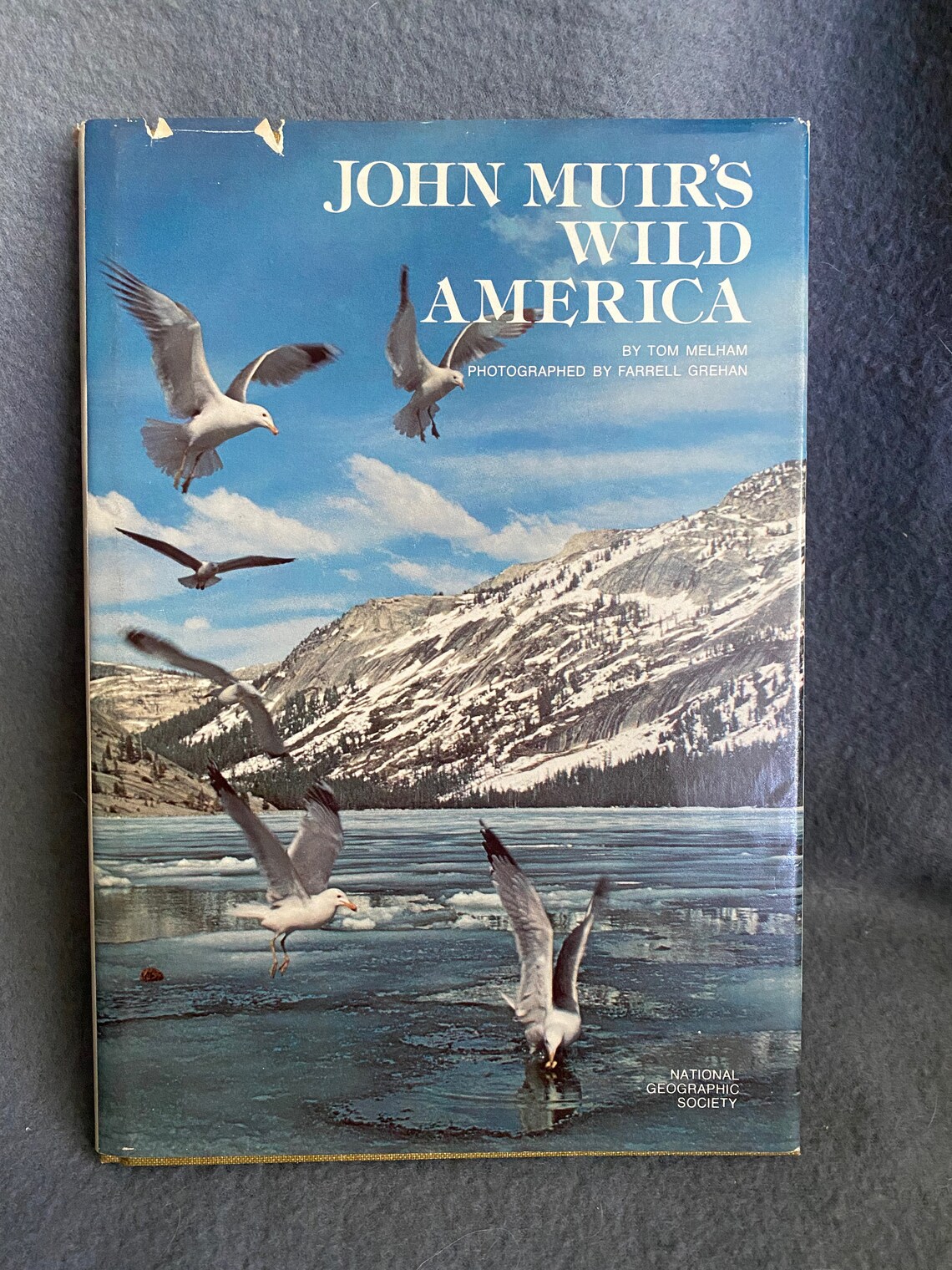 John Muirs Wild America National Geographic 1976 Etsy