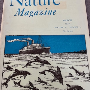 Dolphin porpoise cover art, Nature Magazine, March 1957, mid century, Hexom illustration, ocean, wall decor, full issue, Zion park, 1950s