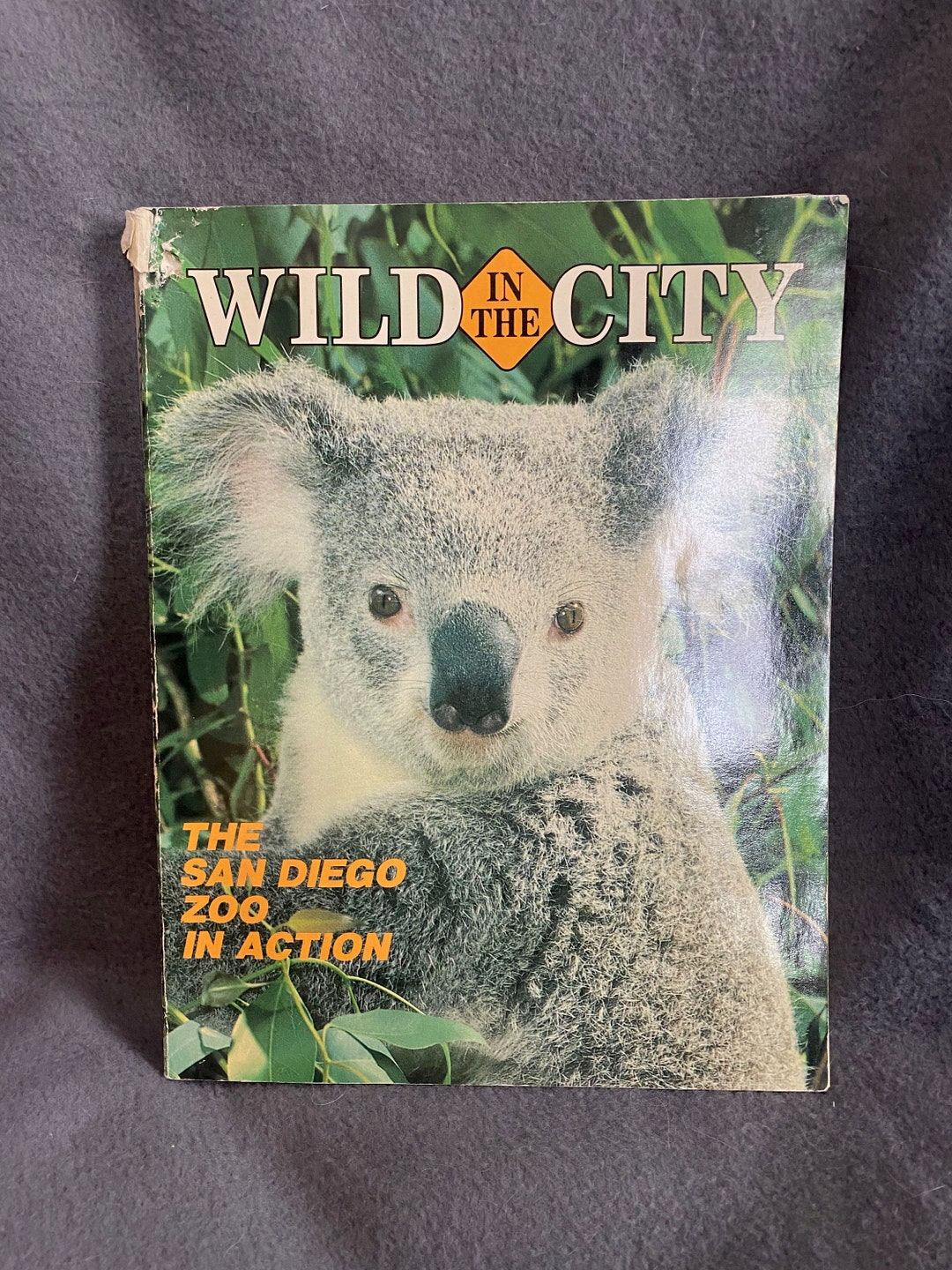 San Diego Zoo Wild in the City Vintage 1985 Book Koala - Etsy