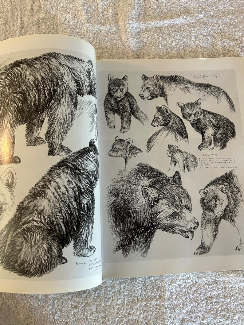 Drawing Big Game, Artist Reference Guide, Doug Lindstrand, Softcover