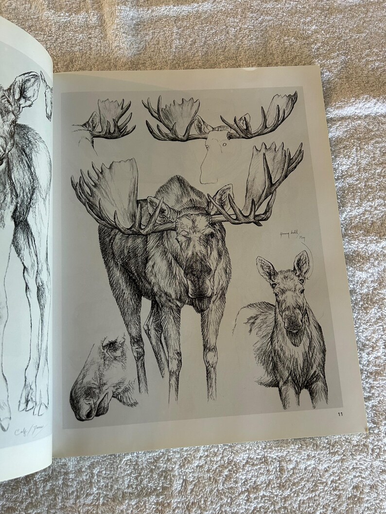 Drawing Big Game, Artist Reference Guide, Doug Lindstrand, Softcover