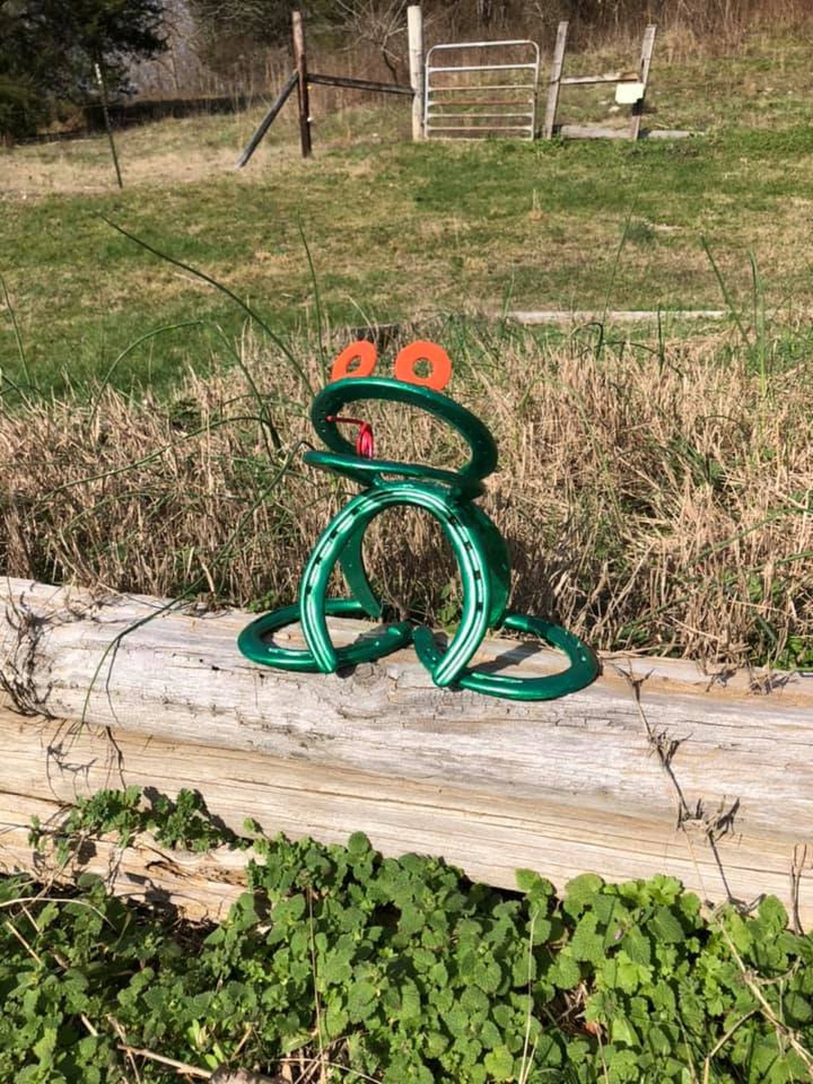 Horseshoe Frog / Garden Art / Yard Decor / Animal Critters / Etsy
