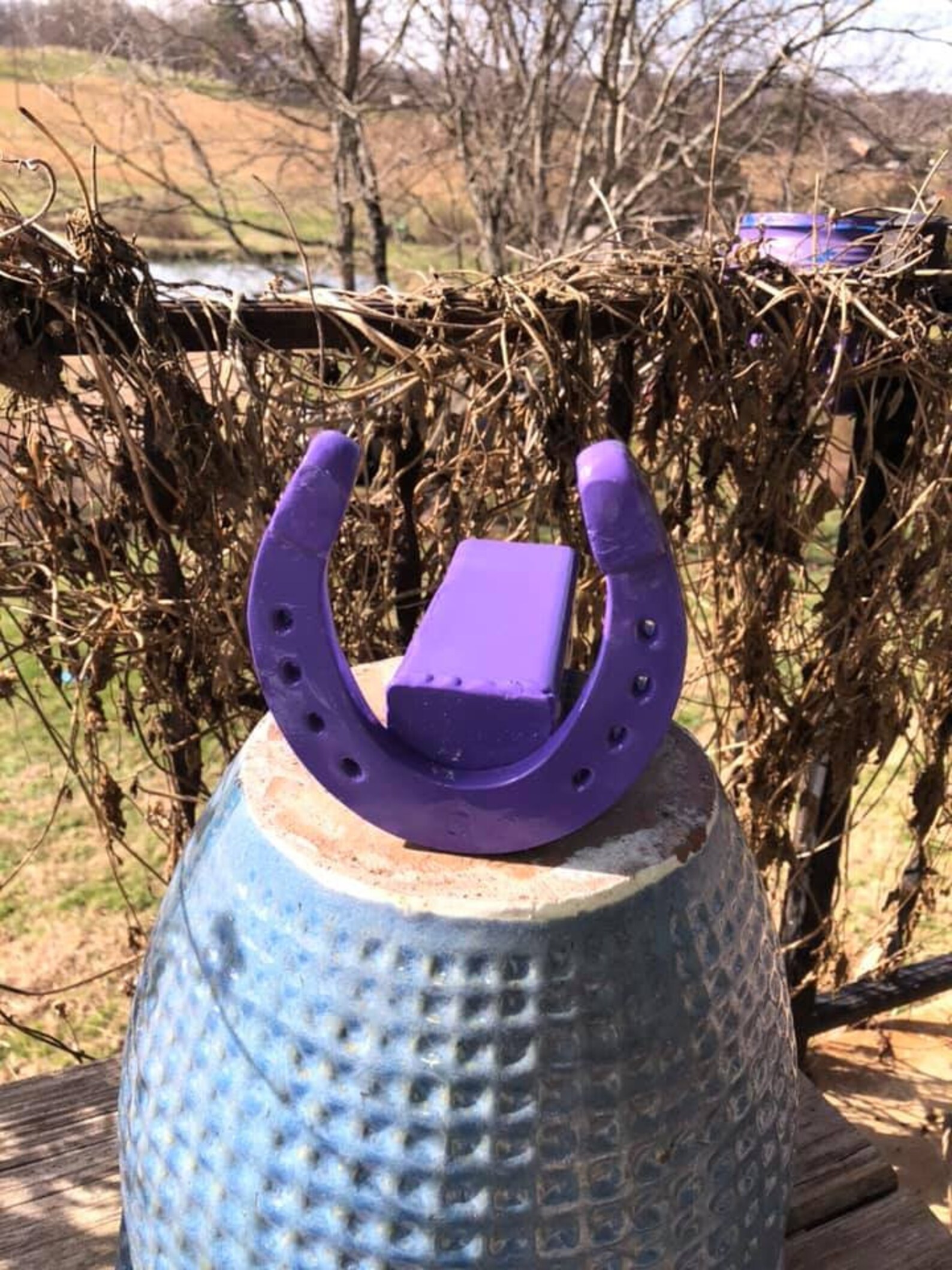 Horseshoe Trailer Hitch Cover / Hitch Insert / Truck Decor / Etsy