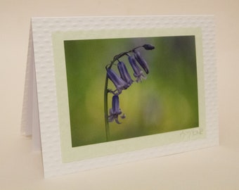 Bluebells - an original photo-art greetings card
